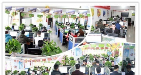 西南領(lǐng)先的一站式數(shù)字服務(wù) 重慶四模建站、全網(wǎng)推廣與軟件開發(fā)解決方案